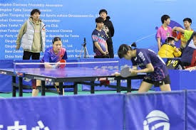 博彩行业的抗风险能力（博彩业的风险抵御能力）